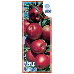 Apple Jonathan