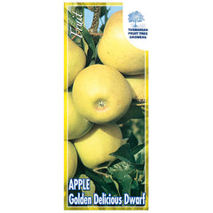 Apple Golden Delicious Dwarf