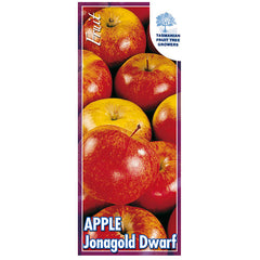 Apple Jonagold Dwarf