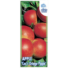 Apple "Cox's Orange Pippin"