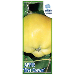 Apple Five Crown Kazi