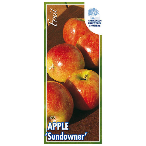 Apple 'Sundowner'